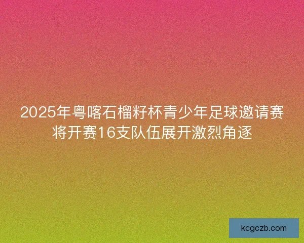 2025年粤喀石榴籽杯青少年足球邀请赛将开赛16支队伍展开激烈角逐